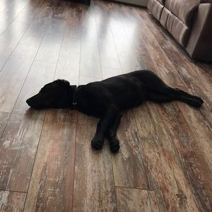 Meet your Posher, Tricia